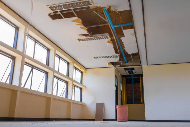 Best Flood restoration services  in Maumee, OH
