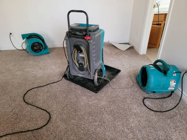 Best Professional water damage repair  in Maumee, OH