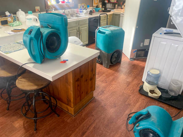 Best Basement water damage restoration  in Maumee, OH