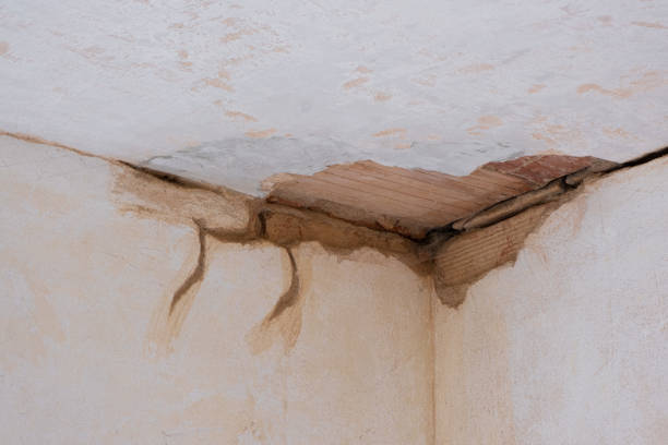 Trusted Maumee, OH Water damage restoration Experts