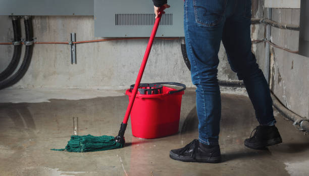 Best Flood damage cleanup  in Maumee, OH