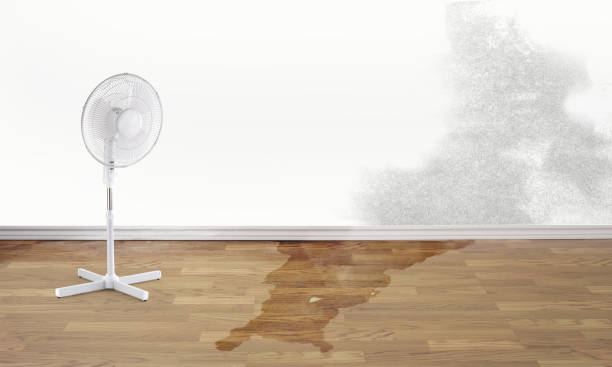 Fire Damage Restoration in Maumee, OH