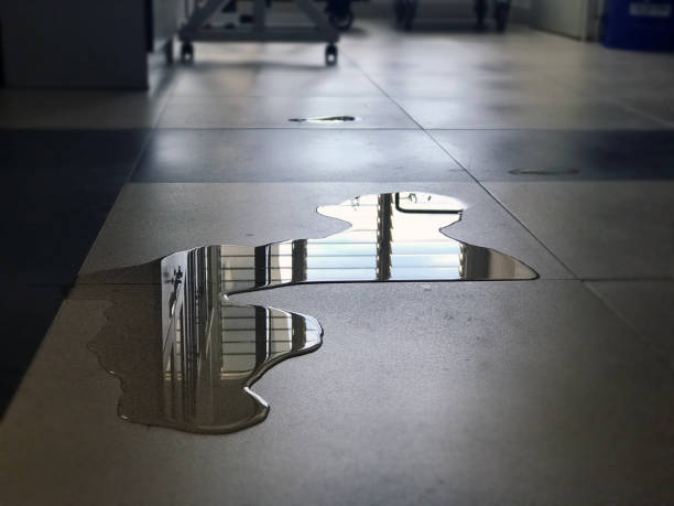 Best Emergency water damage restoration  in Maumee, OH