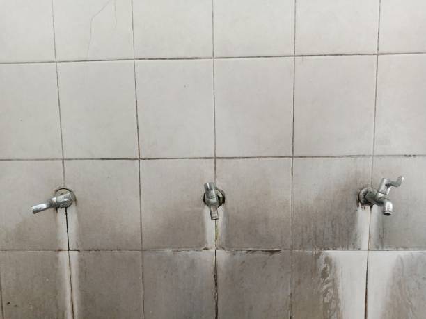 Best Flooded house restoration  in Maumee, OH