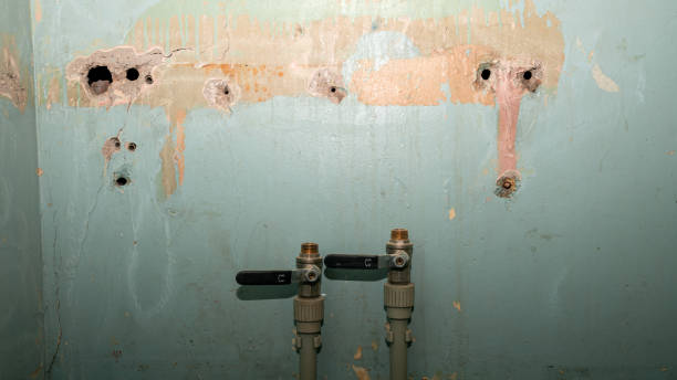 Best Water damage restoration process  in Maumee, OH