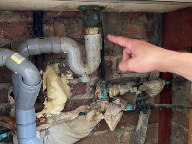 Best Fire Damage Restoration  in Maumee, OH