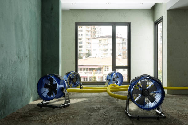 Best 24-hour water damage restoration  in Maumee, OH