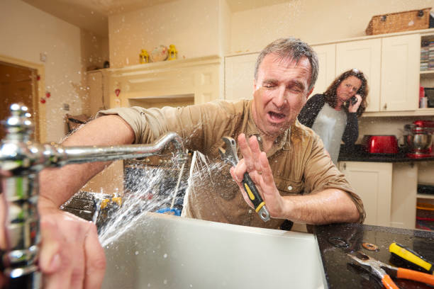 Best Water damage restoration services  in Maumee, OH